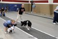 IMG_7919