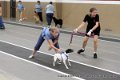 IMG_7927