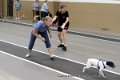 IMG_7930