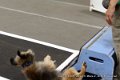 IMG_7944
