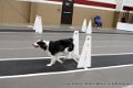 IMG_8013