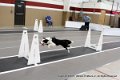 IMG_8016