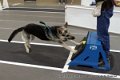 IMG_8058