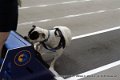 IMG_8080