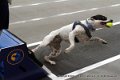IMG_8082
