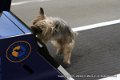 IMG_8086