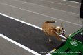 IMG_8098