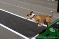 IMG_8100