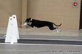 IMG_8143