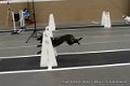IMG_8162