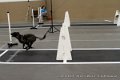 IMG_8163