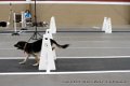 IMG_8167