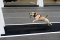 IMG_8185