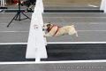IMG_8186