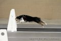 IMG_8213