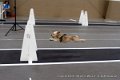IMG_8271