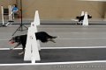 IMG_8297