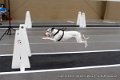 IMG_8306