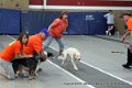 IMG_8311