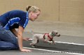 IMG_8362