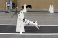 IMG_8380