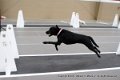 IMG_8381