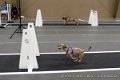 IMG_8385