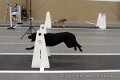 IMG_8395