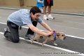IMG_8412