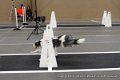 IMG_8444