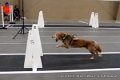 IMG_8447