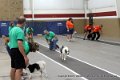 IMG_8453