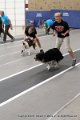 IMG_8472
