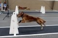 IMG_8490