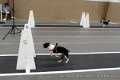IMG_8497