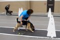 IMG_8509