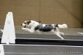 IMG_8531