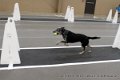 IMG_8543