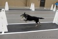 IMG_8549