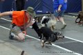 IMG_8568