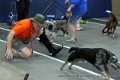 IMG_8569
