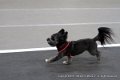 IMG_8600