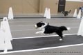 IMG_8607