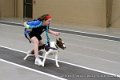 IMG_8621