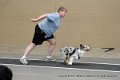IMG_8629