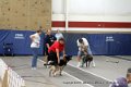 IMG_8635