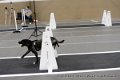 IMG_8647