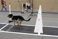 IMG_8656