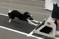 IMG_8723