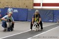 IMG_8781